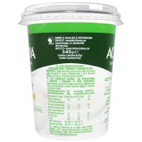 Kefir natural activiaACTIVIA, terrina 345 g